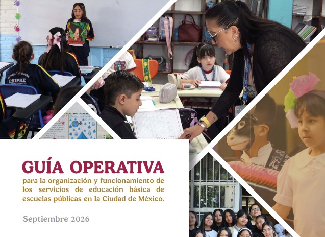 Guía operativa